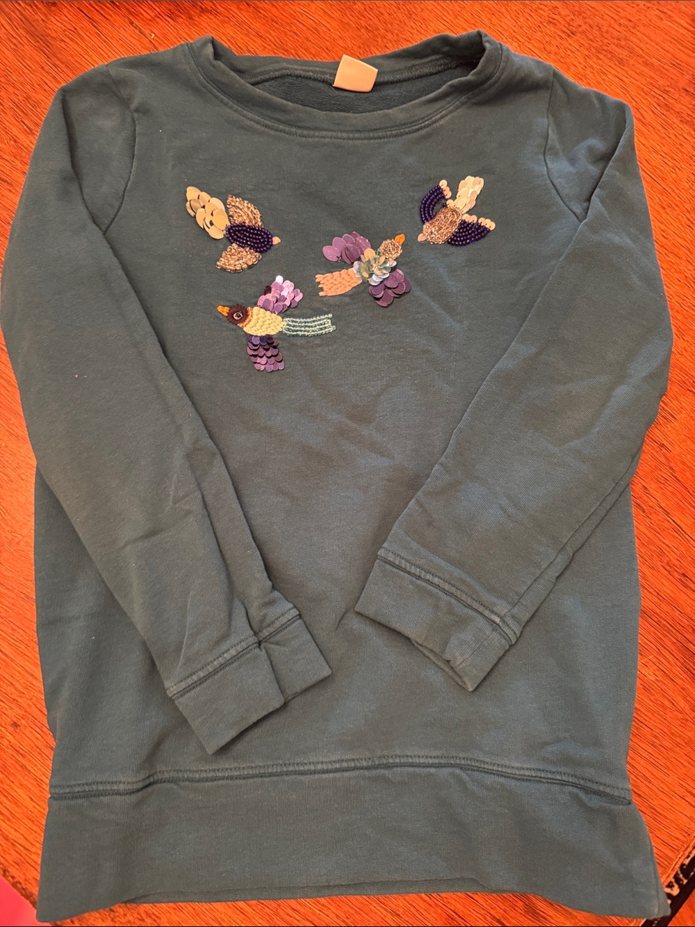 Gymboree Teal Green Long-Sleeve Sweatshirt with Gorge Sequin Bird Embellishment